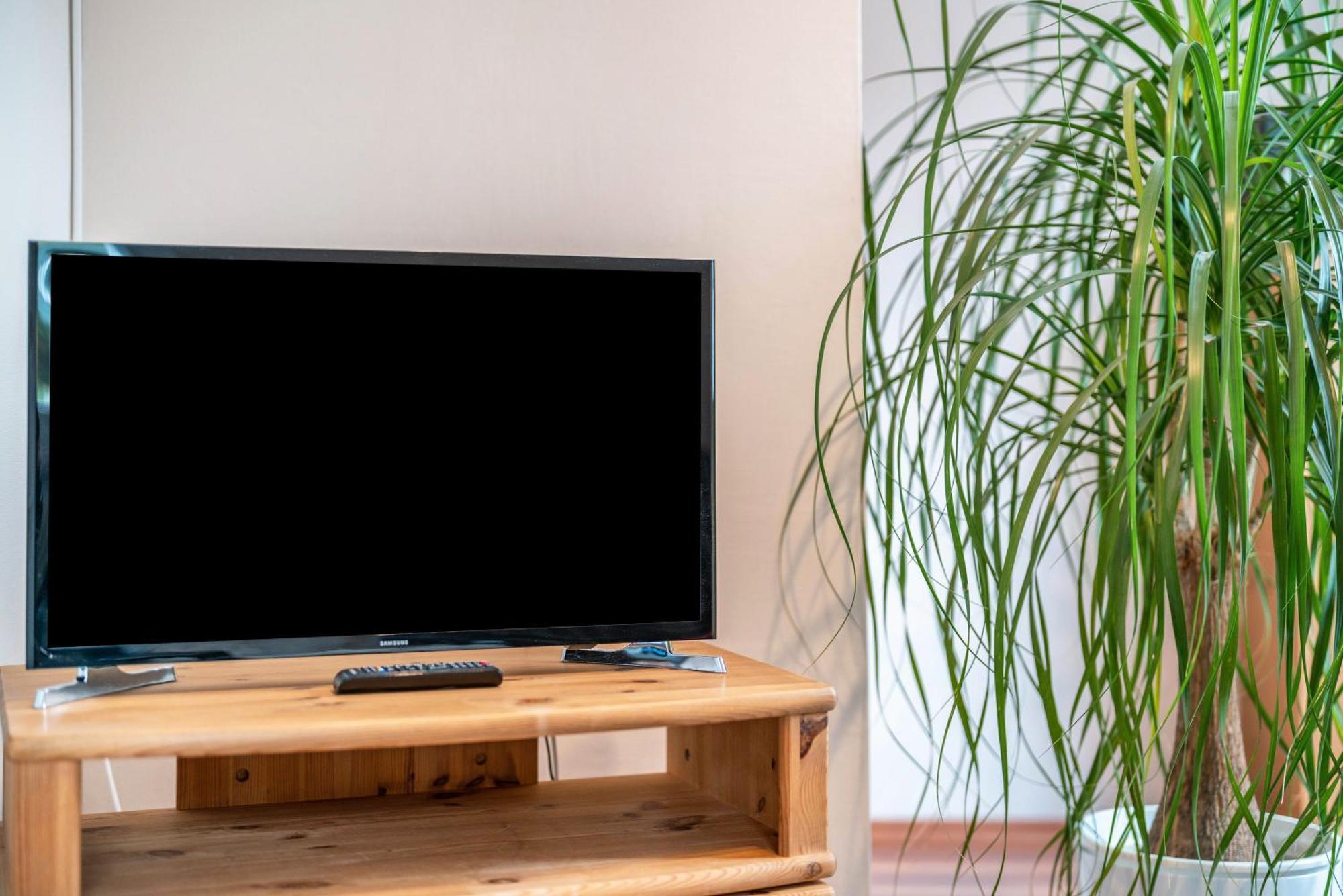 Ferienwohnung Burgblick เฮาซาค ภายนอก รูปภาพ